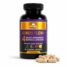 Genius Flow+ Adaptogenic Blend