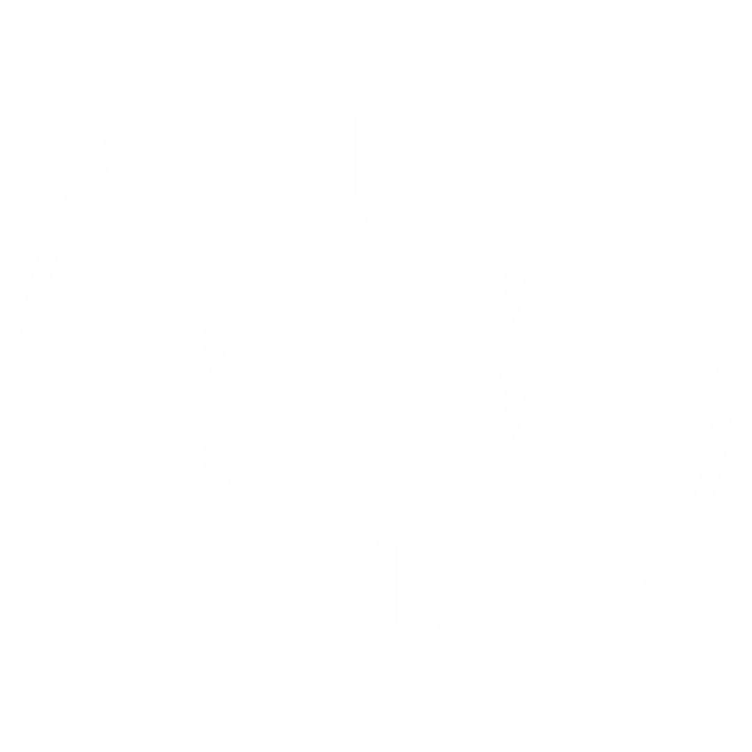 Gut Health Support