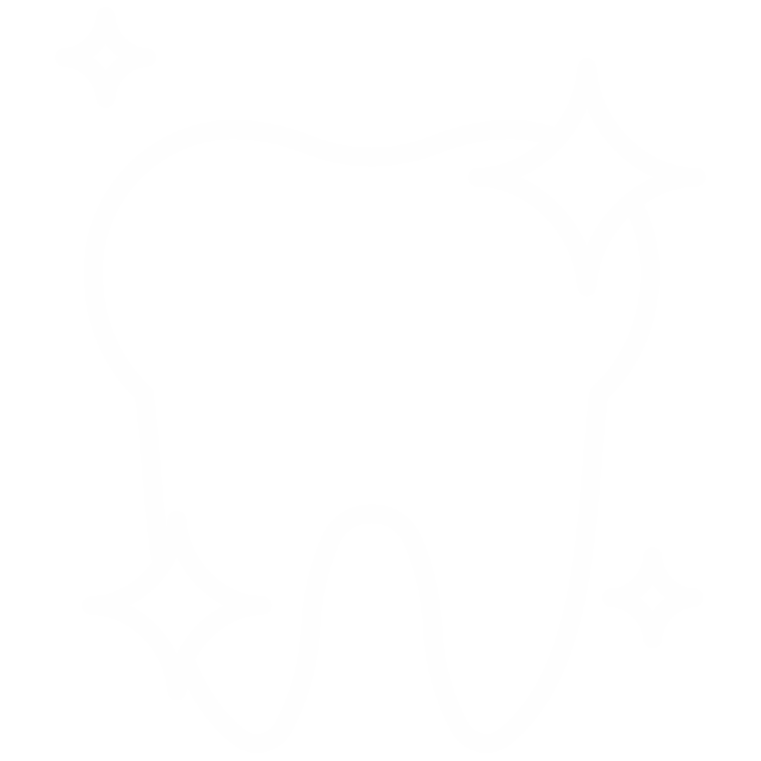 Strengthens Teeth