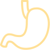 Supports Digestion
