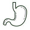 Supports Digestion