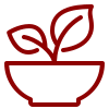 Antioxidant Rich