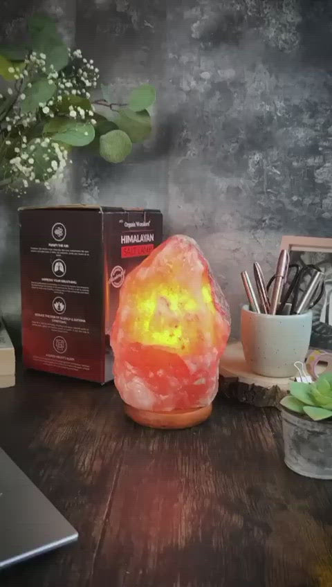 Himalayan Salt Lamp | Organic Wonders UK