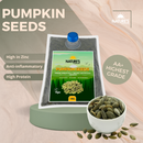 Buy Pumpkin Seeds UK - 1kg | Organic Wonders UK